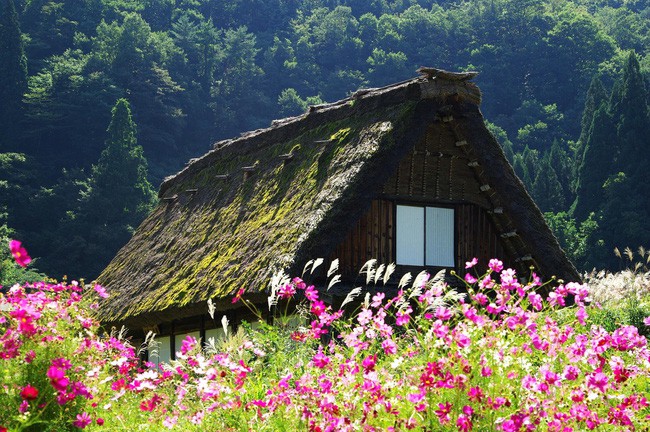 Những ngôi nhà an yên đẹp tựa tranh vẽ ở vùng nông thôn Nhật Bản - Ảnh 3.