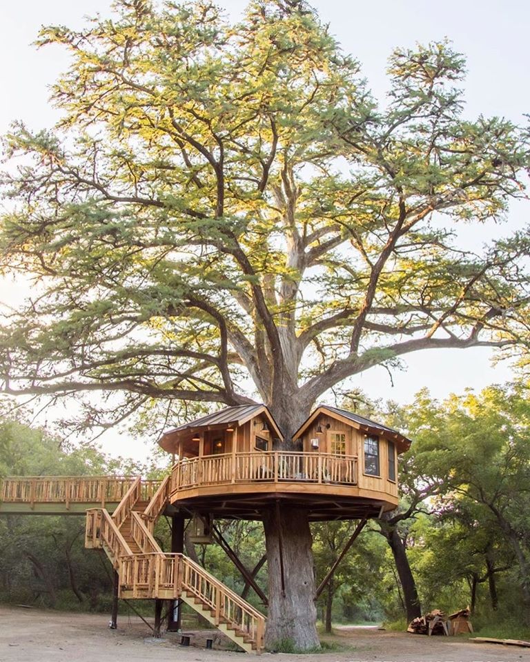 Ngôi nhà trên cây tuyệt đẹp gần gũi với thiên nhiên